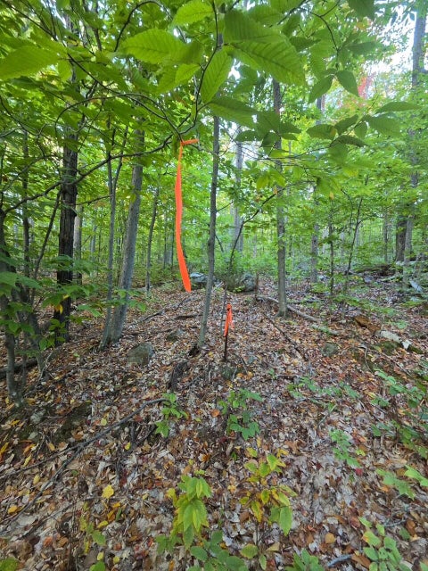 Photo of 63 Sun Valley Drive, Hiram, ME 04041 (MLS # 1684444)