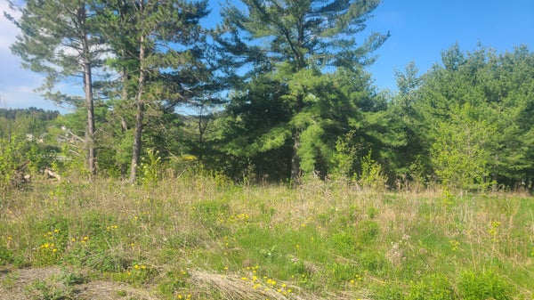 58 PONDVIEW ST, LIMESTONE, ME 04750 - Image 4a98c376b8d5fa4a0c007b72f896fcf5/2861409814
