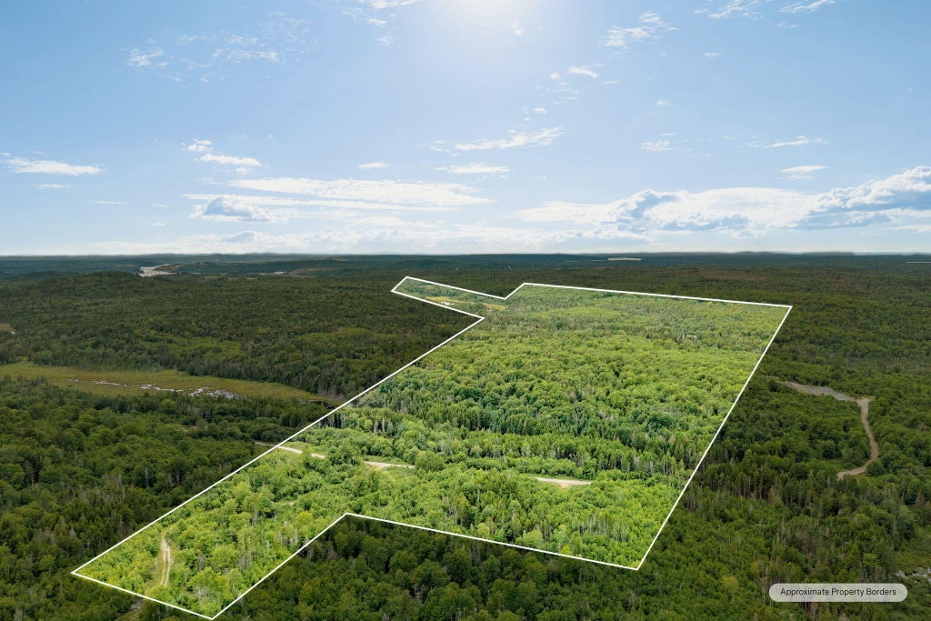 Photo of M002L035 Route 191(Cutler Rd) Road, Machiasport, ME 04655 (MLS # 1674837)