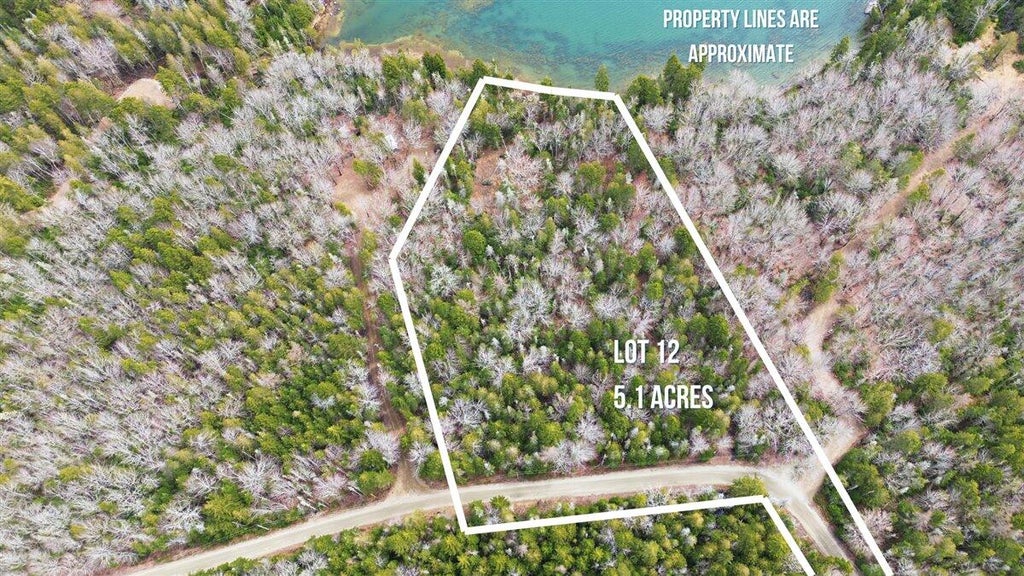 Photo of 35 Aspen Lane, Steuben, ME 04680 (MLS # 1657758)