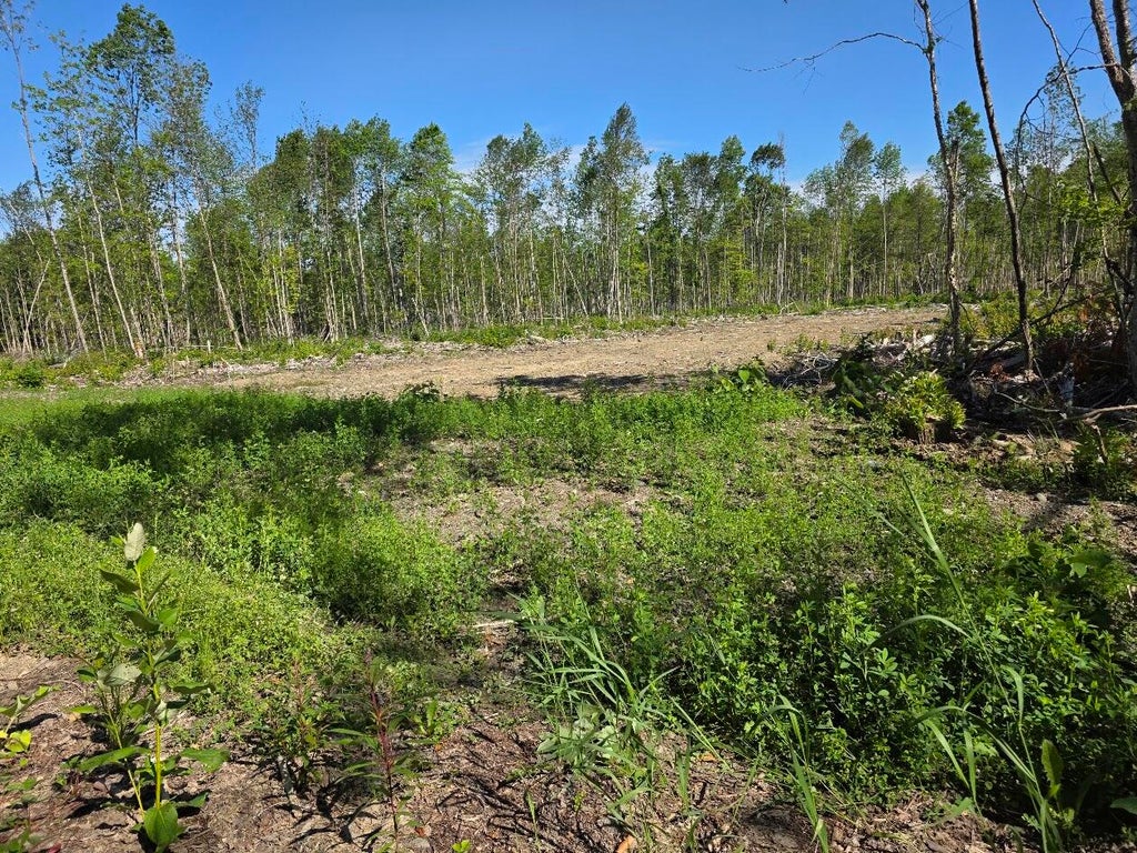Photo of lot 27 Williams Road, Amity, ME 04471 (MLS # 1672467)
