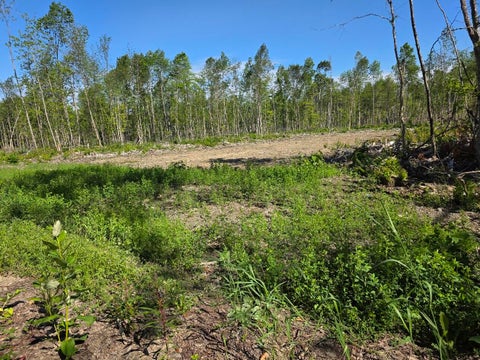 Photo of lot 27 Williams Road, Amity, ME 04471 (MLS # 1672467)