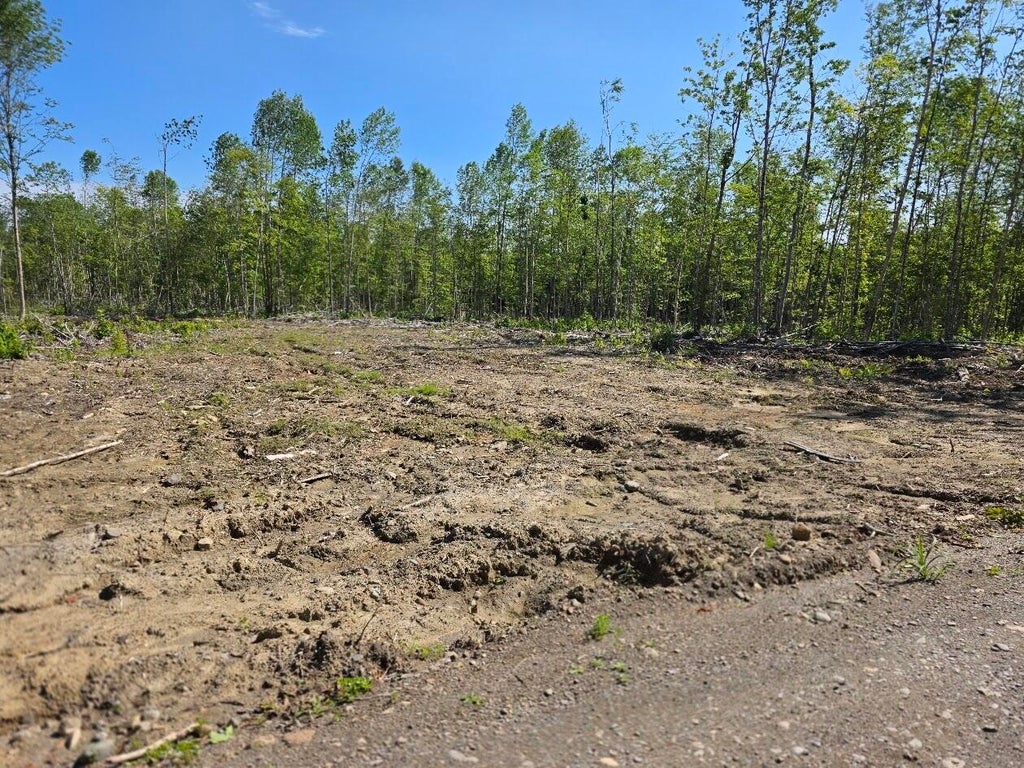 Photo of lot 27 Williams Road, Amity, ME 04471 (MLS # 1672467)
