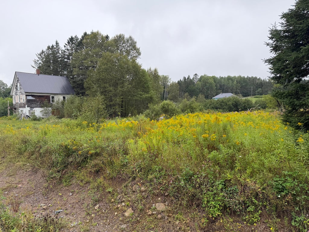 Photo of 352 Ladner Road, Easton, ME 04740 (MLS # 1677402)