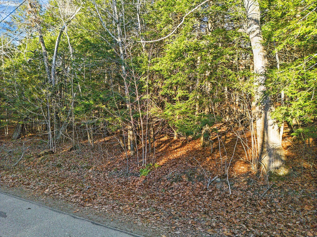 Photo of Lot 3-1 Bryant Road, Unity, ME 04988 (MLS # 1644003)