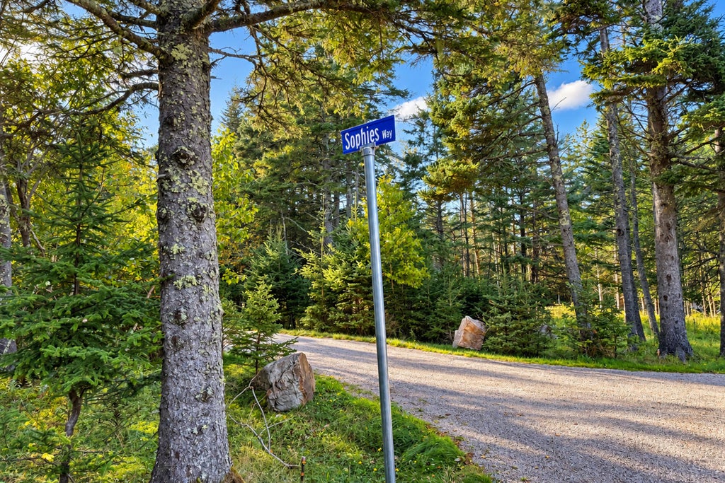 Photo of Lot 3 Sophies Way, Tremont, ME 04653 (MLS # 1682980)