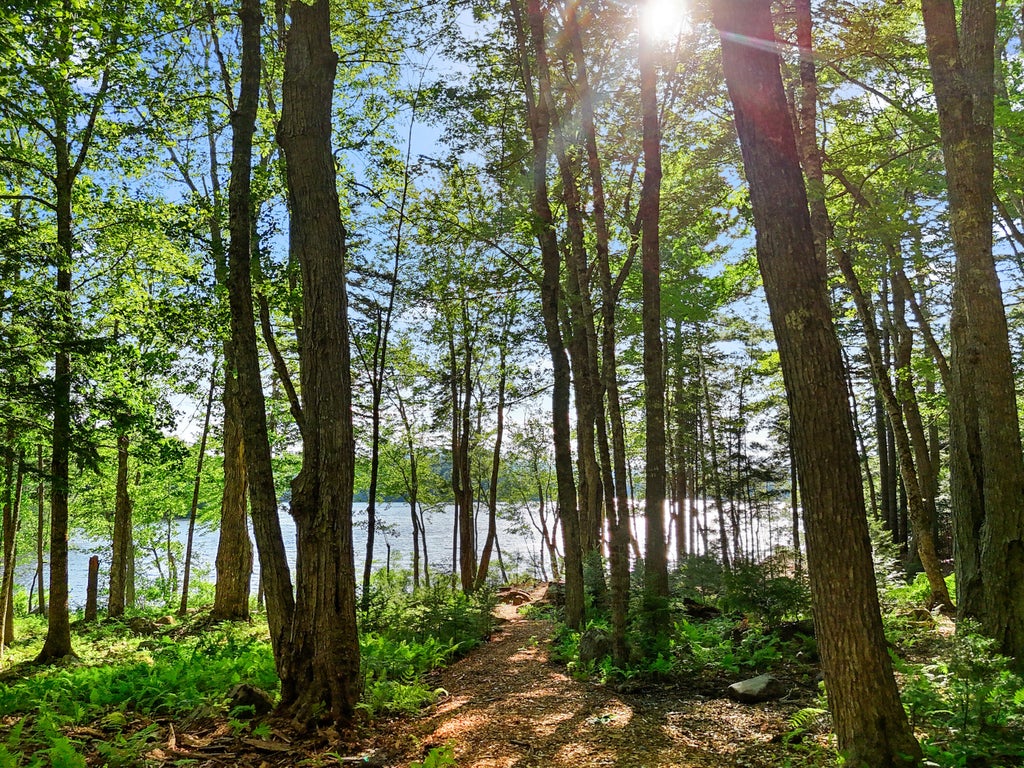 Photo of Part of Map 26 Lot 46 &amp; 48 Mullins Bog Road, Lincolnville, ME 04849 (MLS # 1669516)
