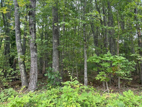 Photo of L23-1 Buzzell Hill Road, Hope, ME 04847 (MLS # 1681473)