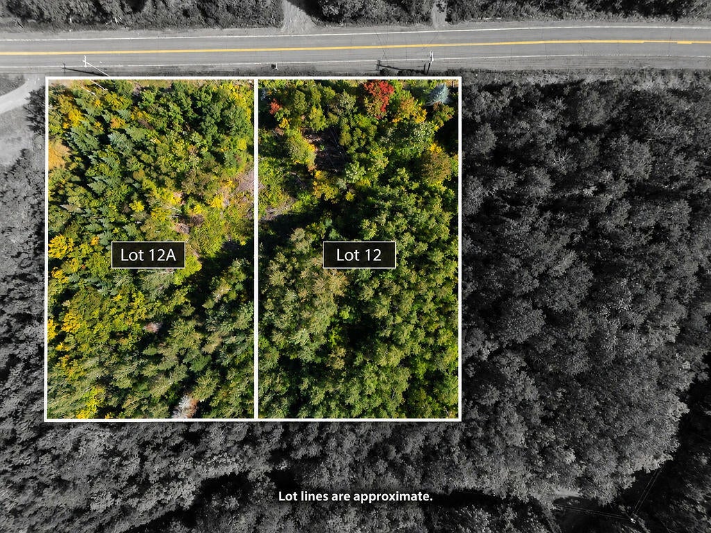 Photo of L12 &amp; L12A Lily Bay Road, Greenville, ME 04441 (MLS # 1680924)