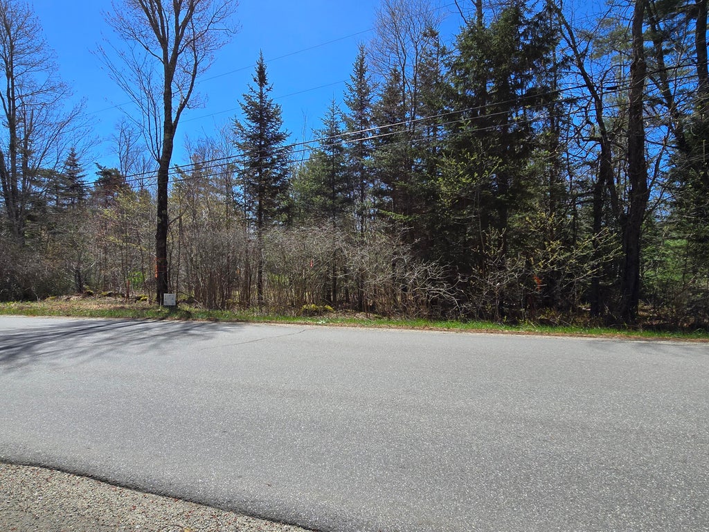 Photo of Lot #2 Turkey Cove Road, Saint George, ME 04860 (MLS # 1661217)