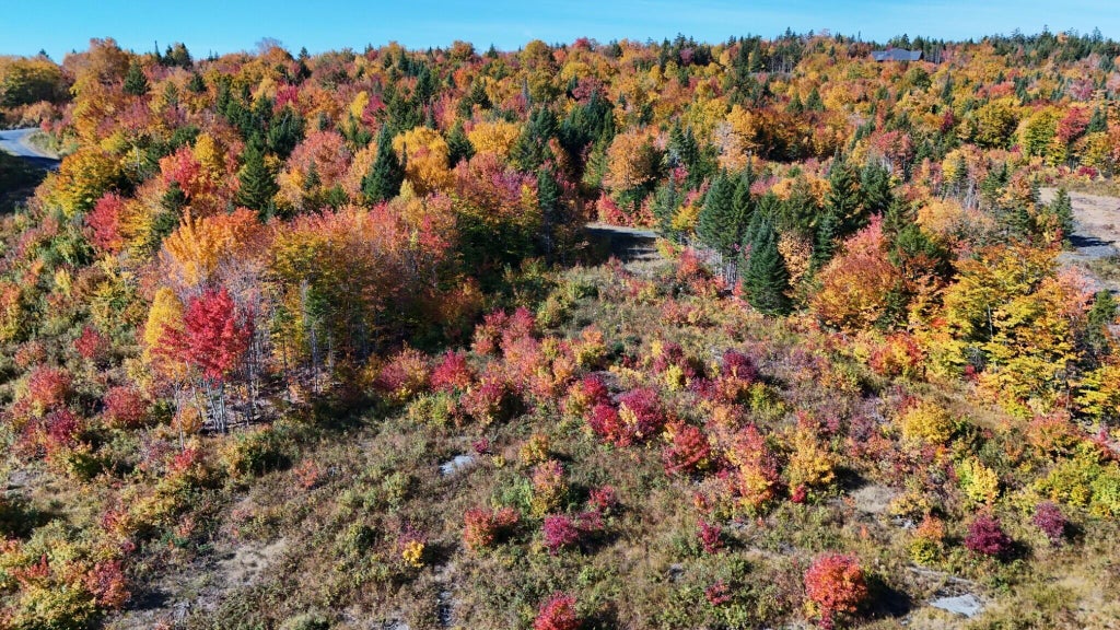 Photo of Lot 2 East Ridge Drive, Greenville, ME 04441 (MLS # 1682942)