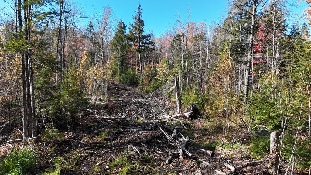 Photo of Lot 1 Old County Road, Woodville, ME 04457 (MLS # 1684908)