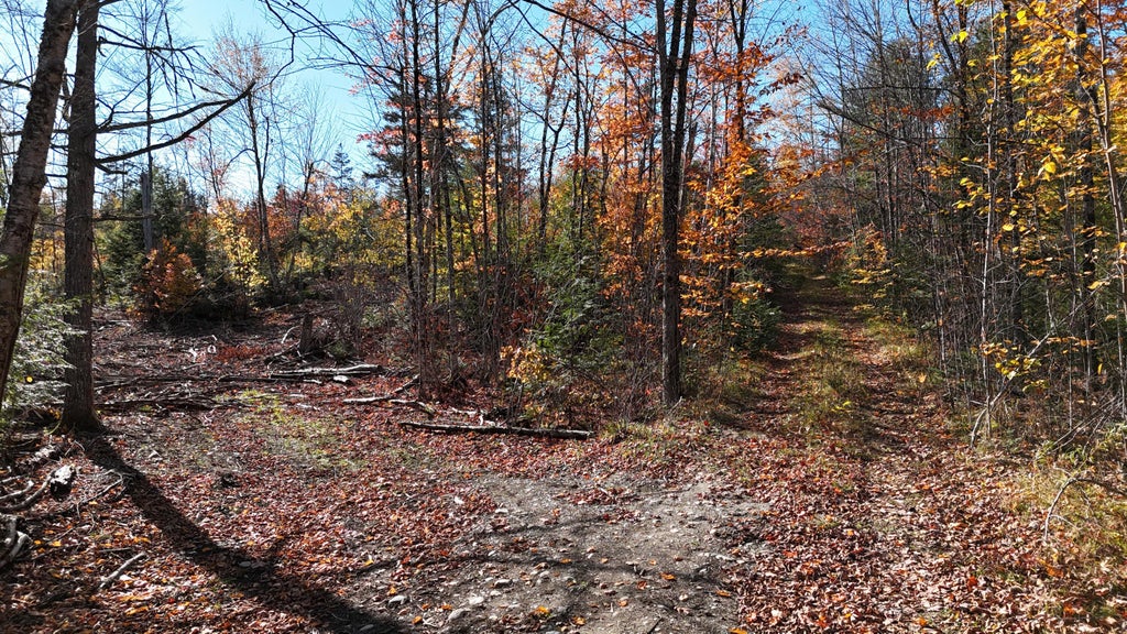 Photo of Lot 1 Old County Road, Woodville, ME 04457 (MLS # 1684908)