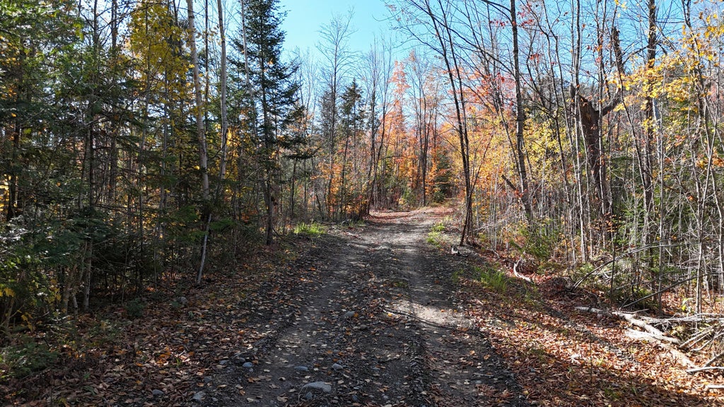 Photo of Lot 1 Old County Road, Woodville, ME 04457 (MLS # 1684908)
