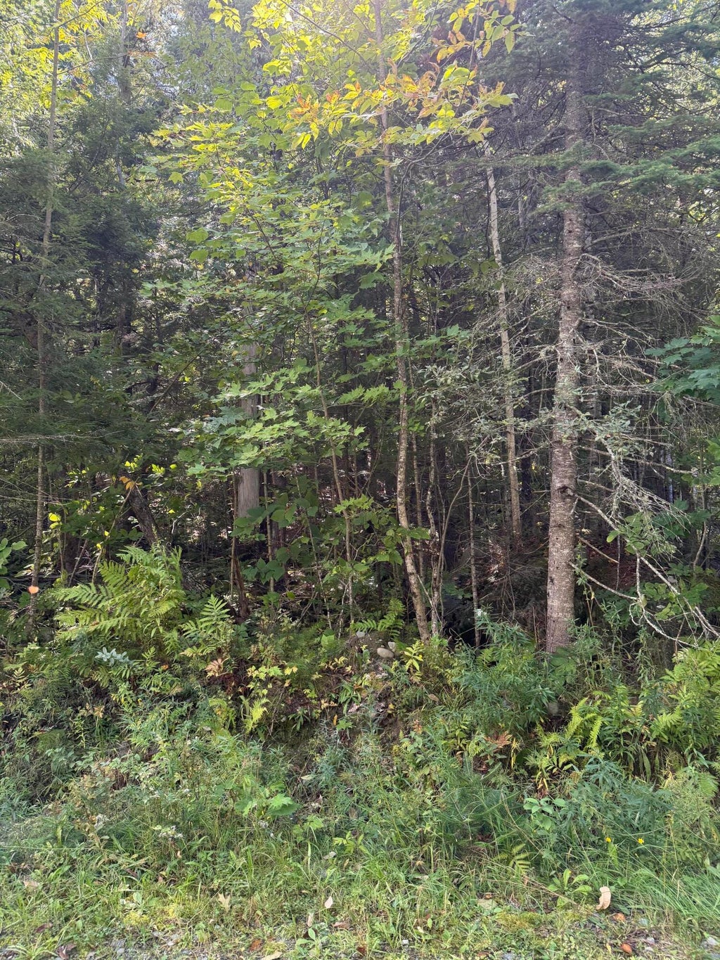 Photo of M1 L95 Sunset Ridge, Sebec, ME 04481 (MLS # 1681034)