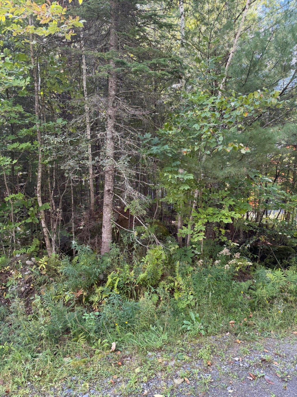 Photo of M1 L95 Sunset Ridge, Sebec, ME 04481 (MLS # 1681034)