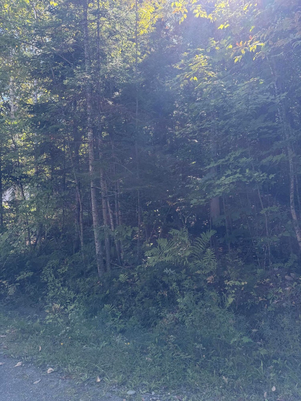 Photo of M1 L95 Sunset Ridge, Sebec, ME 04481 (MLS # 1681034)