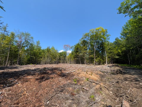 Photo of Lot 9A Maple Ridge Road, Harrison, ME 04040 (MLS # 1675806)