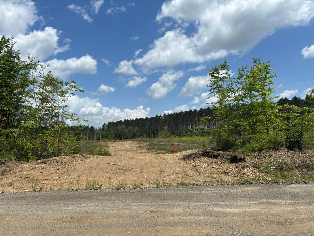 Photo of Lot E McDonald Road, Littleton, ME 04730 (MLS # 1679379)