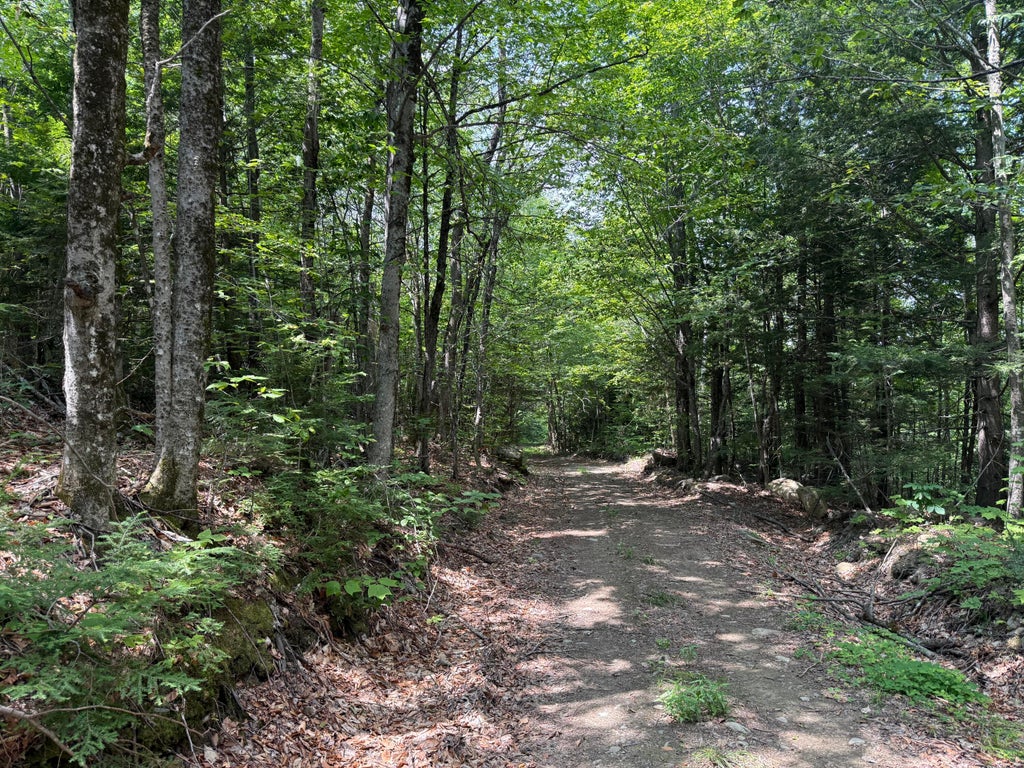 Photo of R3 L 2-2 Hampshire Hill Road, Mercer, ME 04957 (MLS # 1674303)