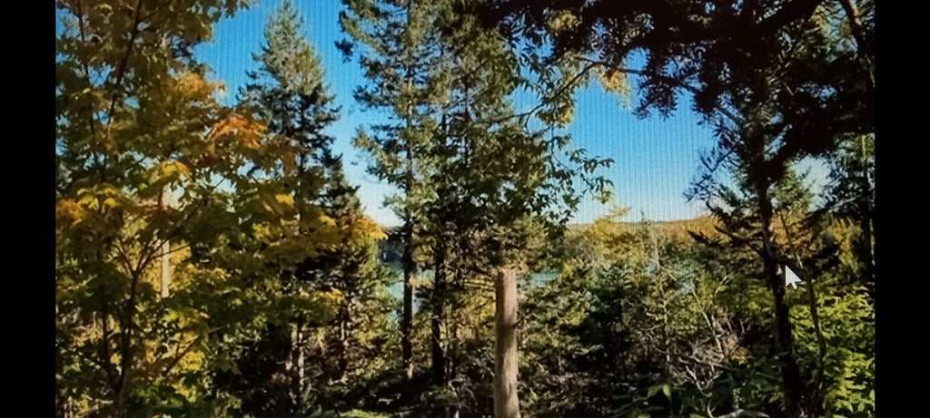 Photo of 0 Lead Mine Road, Lubec, ME 04652 (MLS # 1659012)