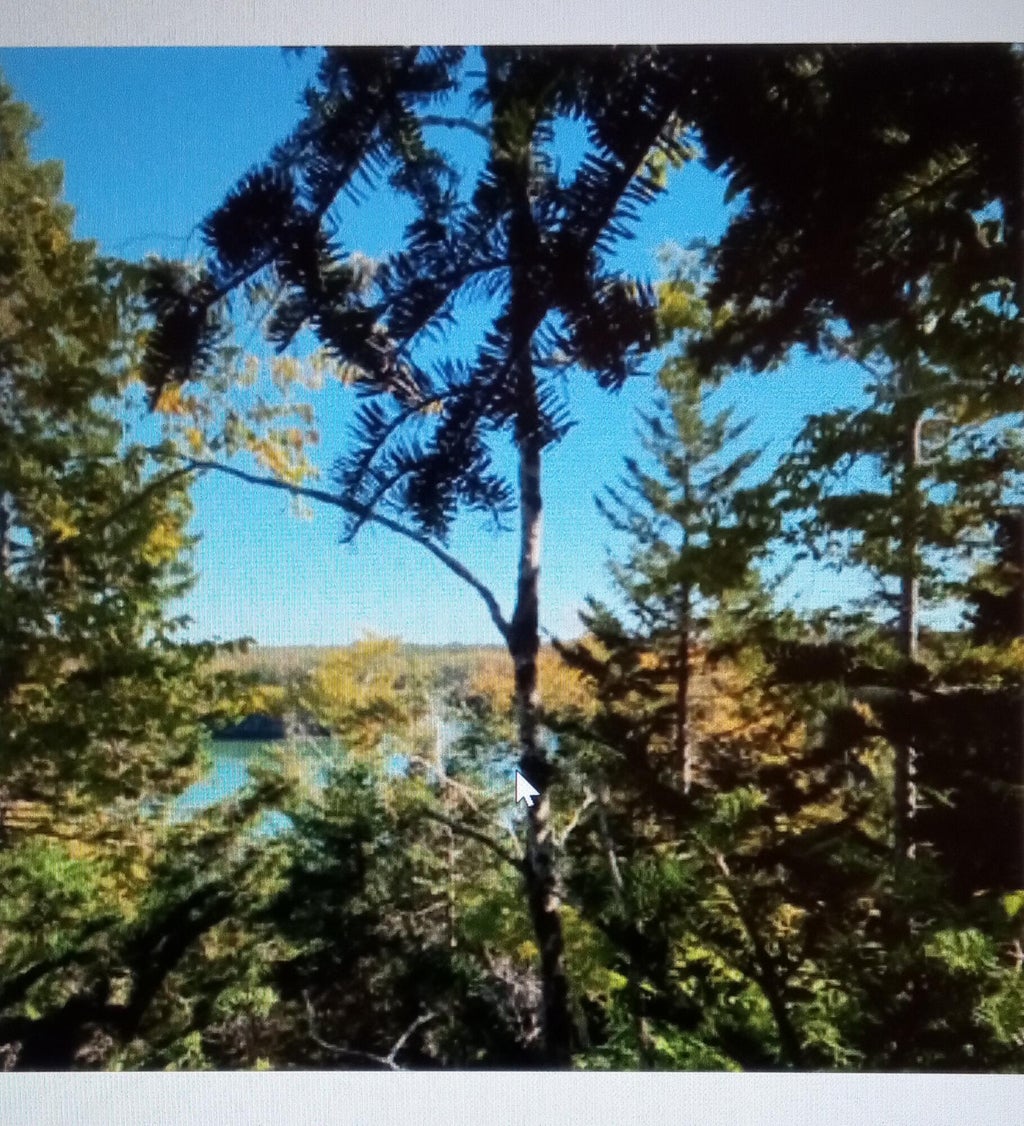 Photo of 0 Lead Mine Road, Lubec, ME 04652 (MLS # 1659012)