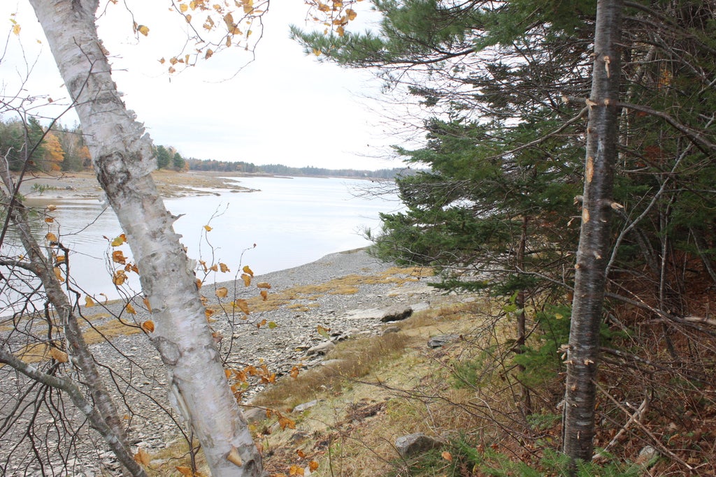 Photo of Lot #5 Hardy Point Road, Pembroke, ME 04666 (MLS # 1676667)