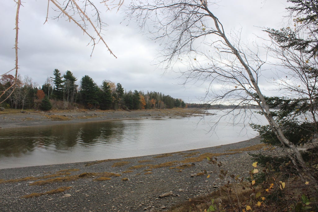 Photo of Lot #5 Hardy Point Road, Pembroke, ME 04666 (MLS # 1676667)