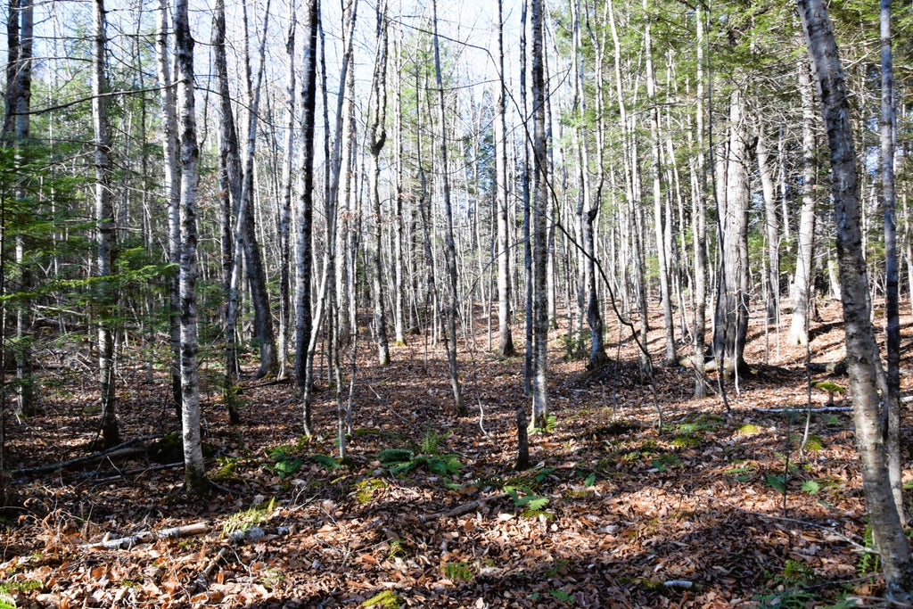 Photo of M7 L19-5 Pine Bluff Road, Embden, ME 04958 (MLS # 1643694)