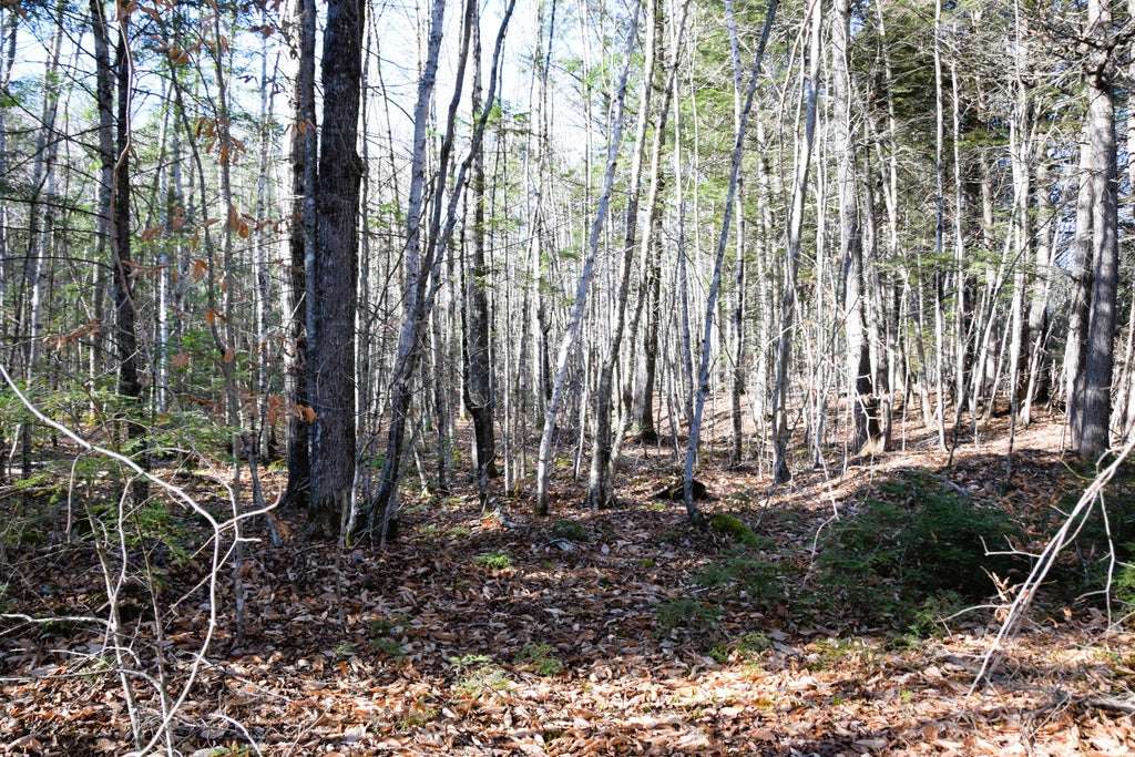 Photo of M7 L19-5 Pine Bluff Road, Embden, ME 04958 (MLS # 1643694)