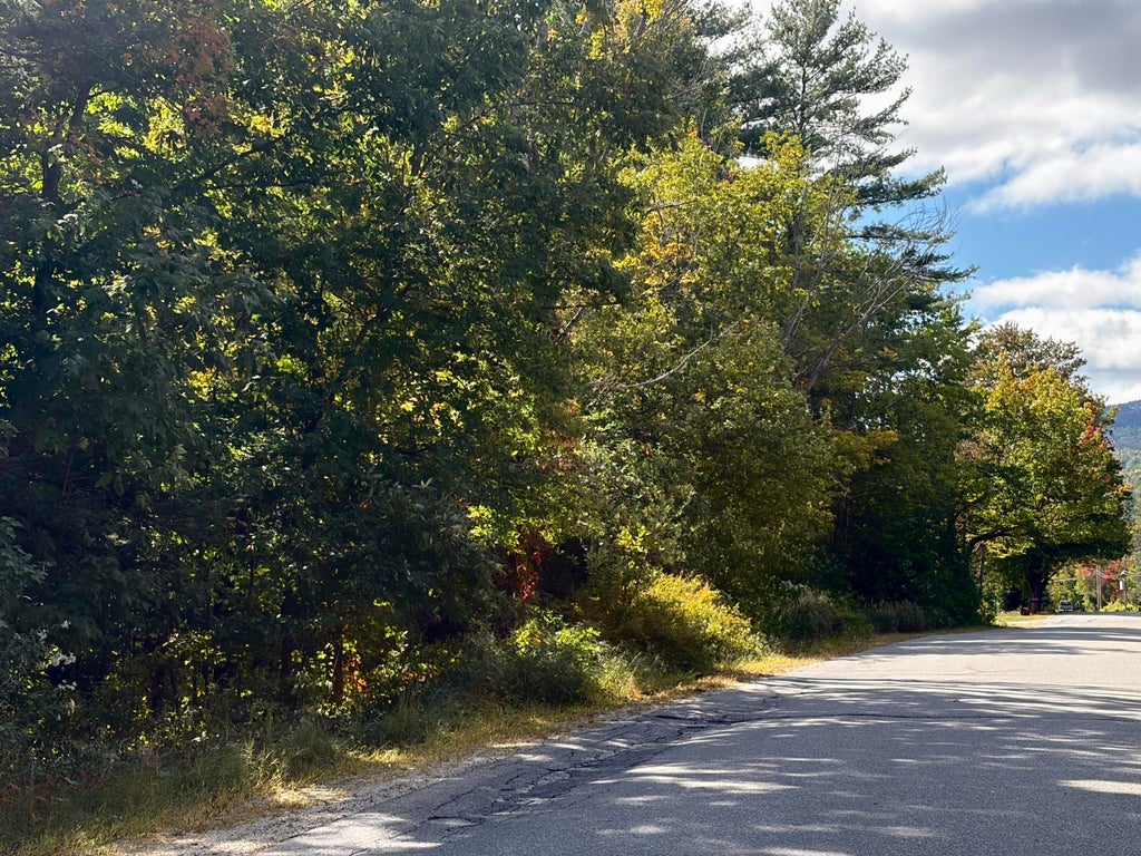 Photo of 11-54 dickvale Road, Peru, ME 04290 (MLS # 1680636)