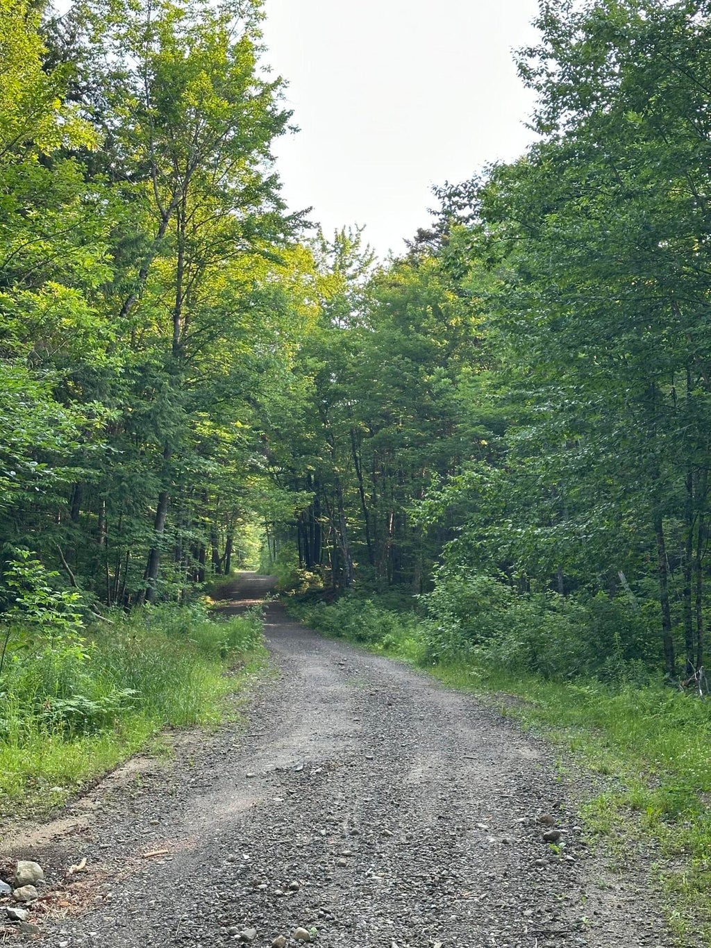 Photo of M R02 L 5A Small Road, Newry, ME 04261 (MLS # 1679306)