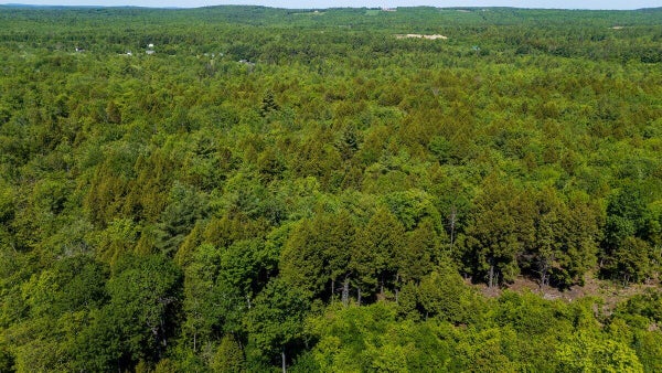 6 NELSON RIDGE S RD, WASHINGTON, ME 04574 - Image 587e8b1f30bebbf0ea2654c60dc277e4/249021545