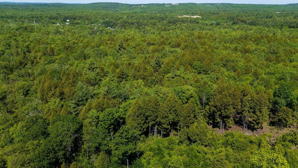 Photo of Map 6, 56 Nelson Ridge Road N Road, Washington, ME 04574 (MLS # 1666757)
