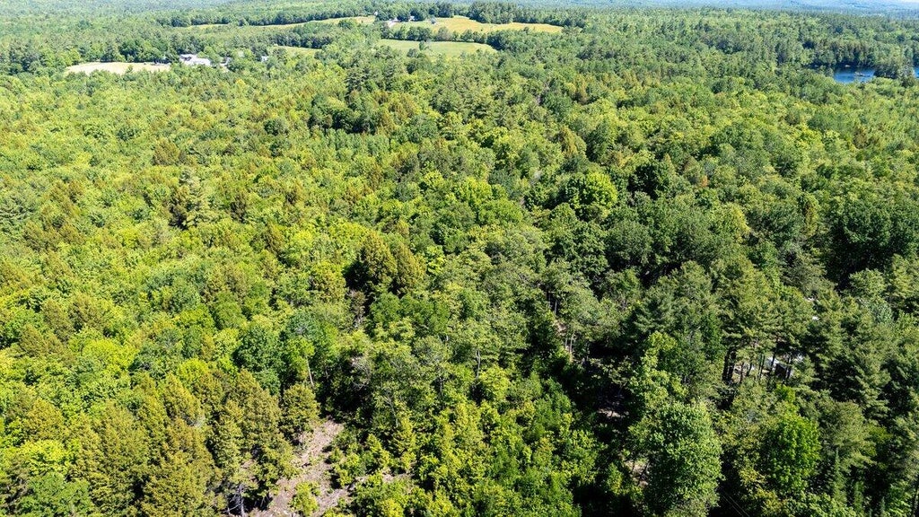 Photo of Map 6, 56 Nelson Ridge Road N Road, Washington, ME 04574 (MLS # 1666757)