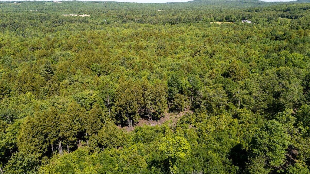 Photo of Map 6, 56 Nelson Ridge Road N Road, Washington, ME 04574 (MLS # 1666757)