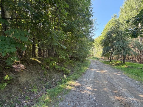 Photo of Map 9 Lot 16-10 Clark Richardson Road, Garland, ME 04939 (MLS # 1677709)