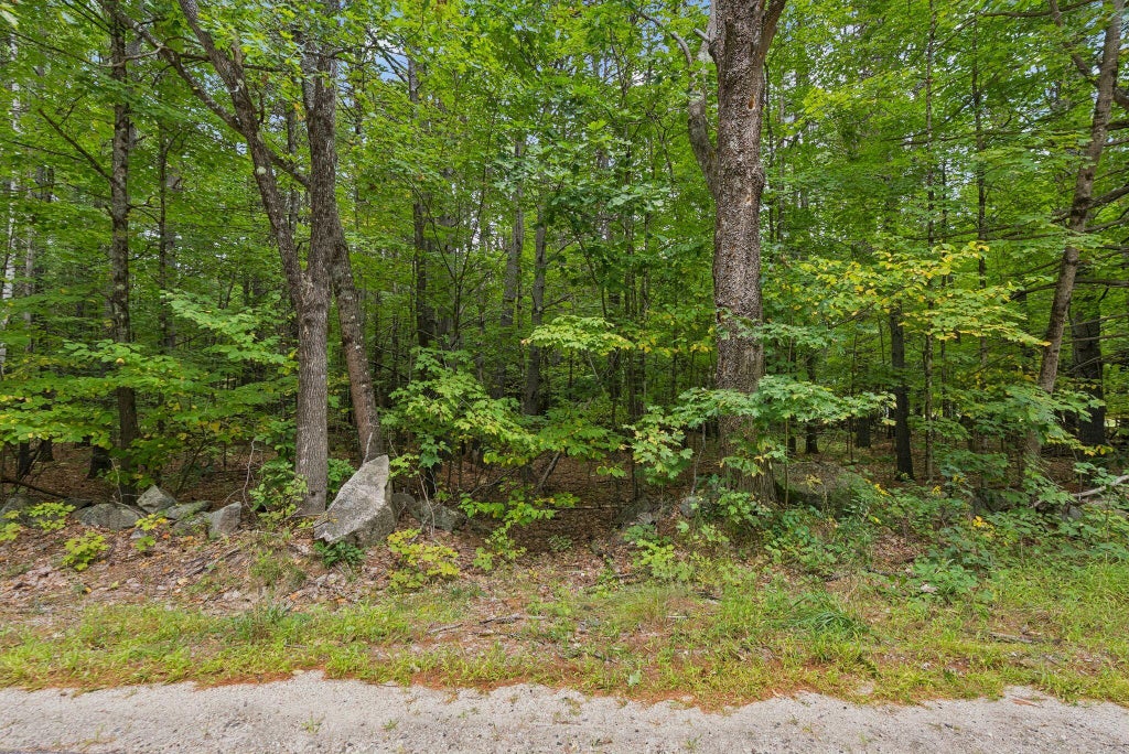 Photo of TBD Edes Falls Road, Harrison, ME 04040 (MLS # 1681201)