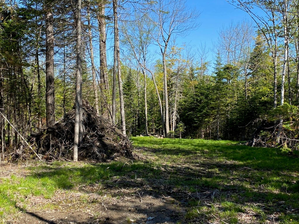 Photo of 2 Tumbledown Lane, Greenville, ME 04441 (MLS # 1576694)