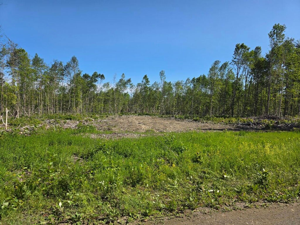 Photo of Lot 26E Williams Road, Amity, ME 04471 (MLS # 1672527)