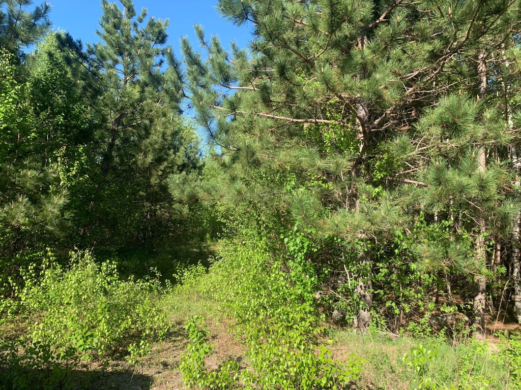 Photo of Lot 24 Grand View Drive, Dedham, ME 04429 (MLS # 1683167)
