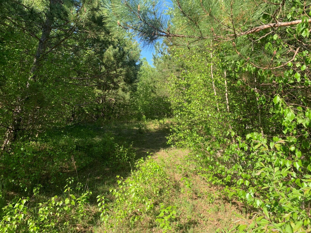 Photo of Lot 24 Grand View Drive, Dedham, ME 04429 (MLS # 1683167)