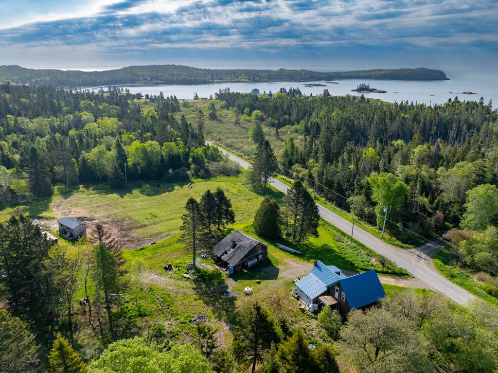 Photo of 1155 Boot Cove Road, Lubec, ME 04652 (MLS # 1661784)