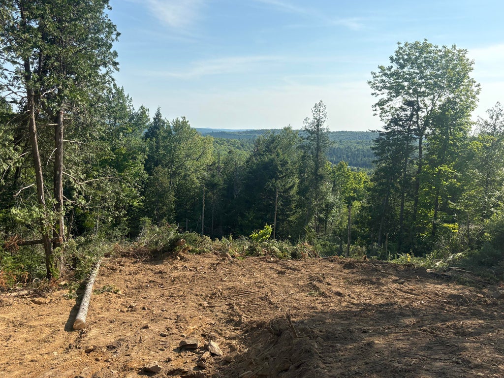 Photo of Lot 12 Mt. Jefferson Heights, Lee, ME 04455 (MLS # 1668691)