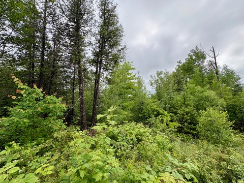 Photo of Lot 12 Mt. Jefferson Heights, Lee, ME 04455 (MLS # 1668691)