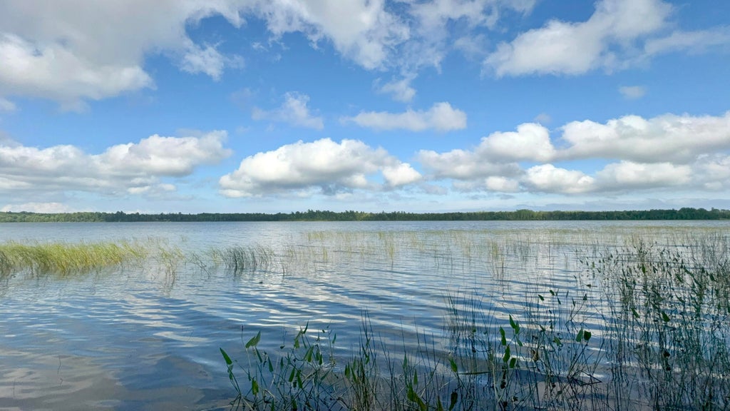 Photo of 20 Roy's Way, Perry, ME 04667 (MLS # 1679480)