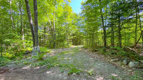 Photo of 71 Sara's Trail, Bridgton, ME 04009 (MLS # 1677263)