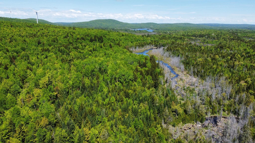 Photo of Lot 10 Morrison Brook Acres, Oakfield, ME 04763 (MLS # 1659484)