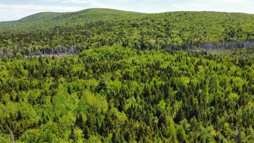 Photo of Lot 10 Morrison Brook Acres, Oakfield, ME 04763 (MLS # 1659484)