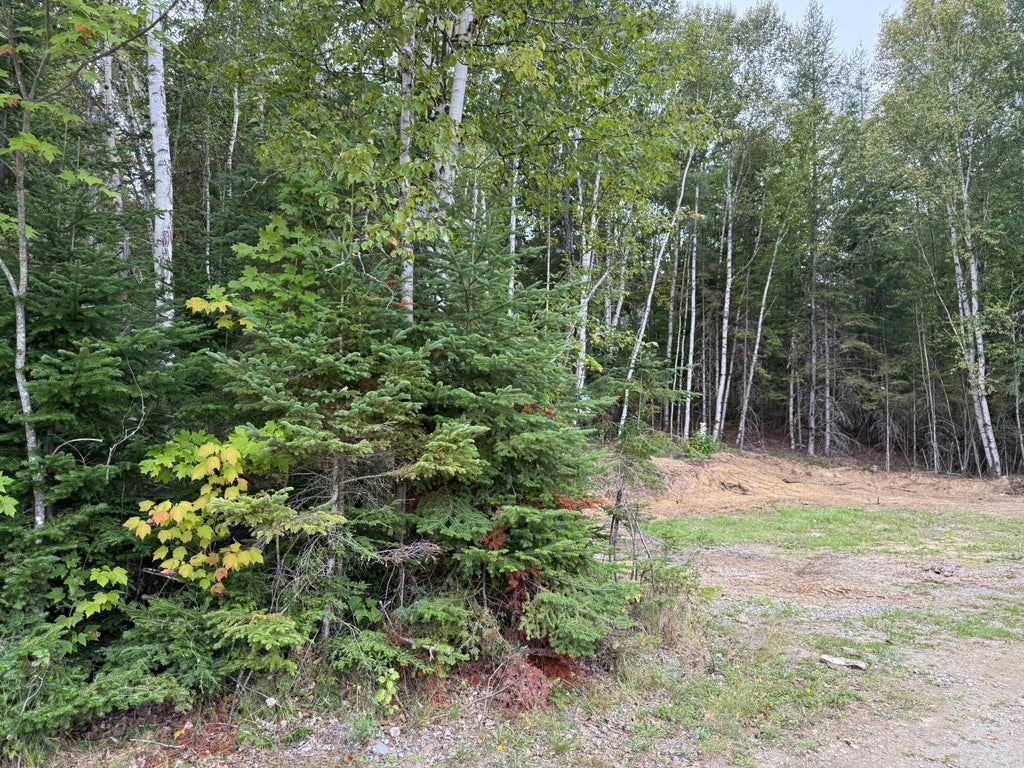 Photo of Map14Lot19 MacAllister Cove Road, Orient, ME 04471 (MLS # 1680765)